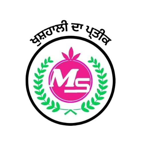 WhatsApp Image 2025-06-21 at 3.19.44 PM